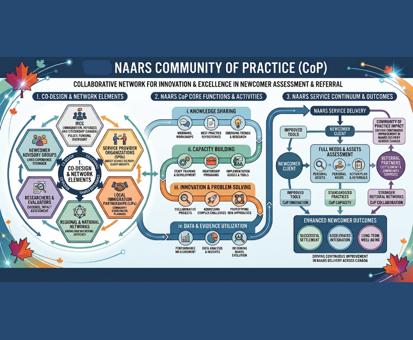 Illustration of the NAARS Model.